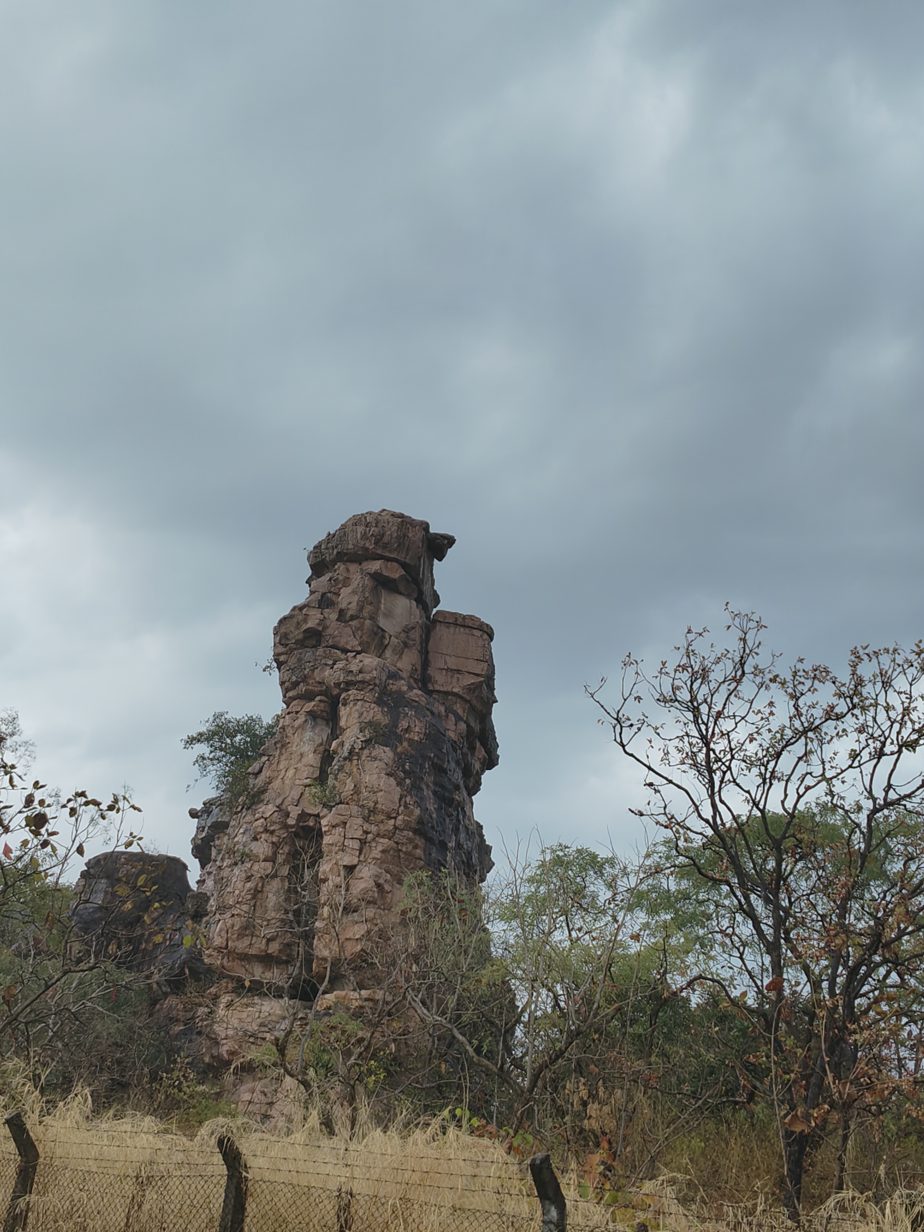 Bhimbetka: a treasure trove